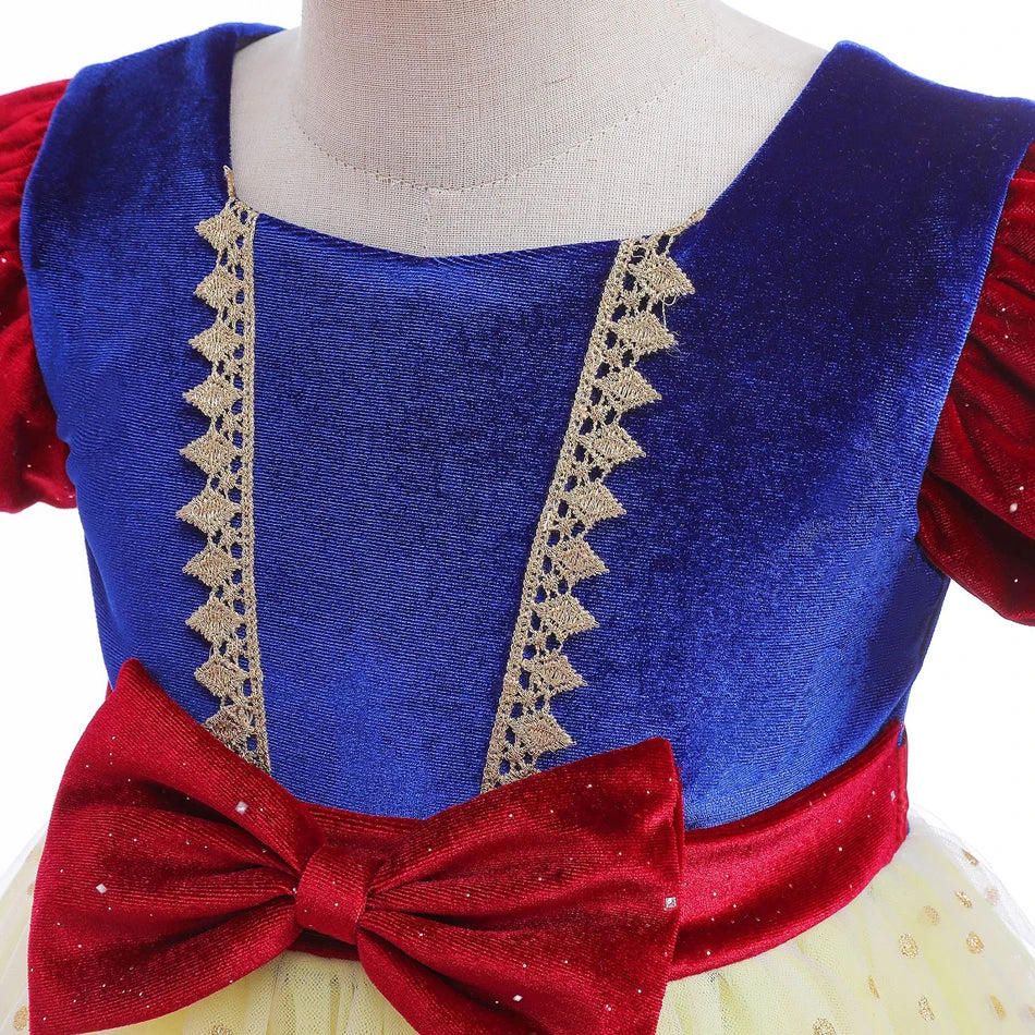 Velvet Blossom Royal Costume for girls, full outfit – Magic Tree Kids